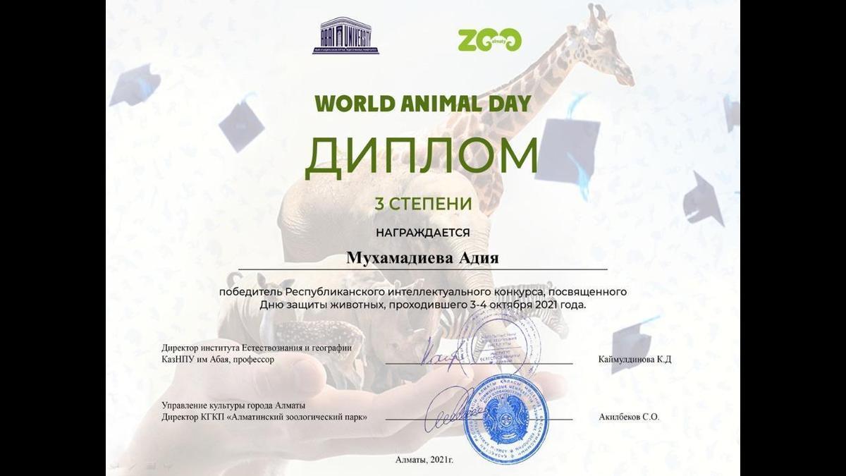 WORLD ANIMAL DAY (результаты конкурса)