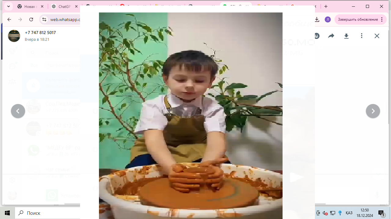 Балалардың жетістіктері/Достижения учеников