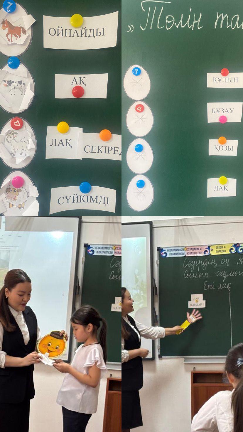 «Функционалдық сауаттылықты дамытуға арналған практикалық тапсырмаларды қолдану»