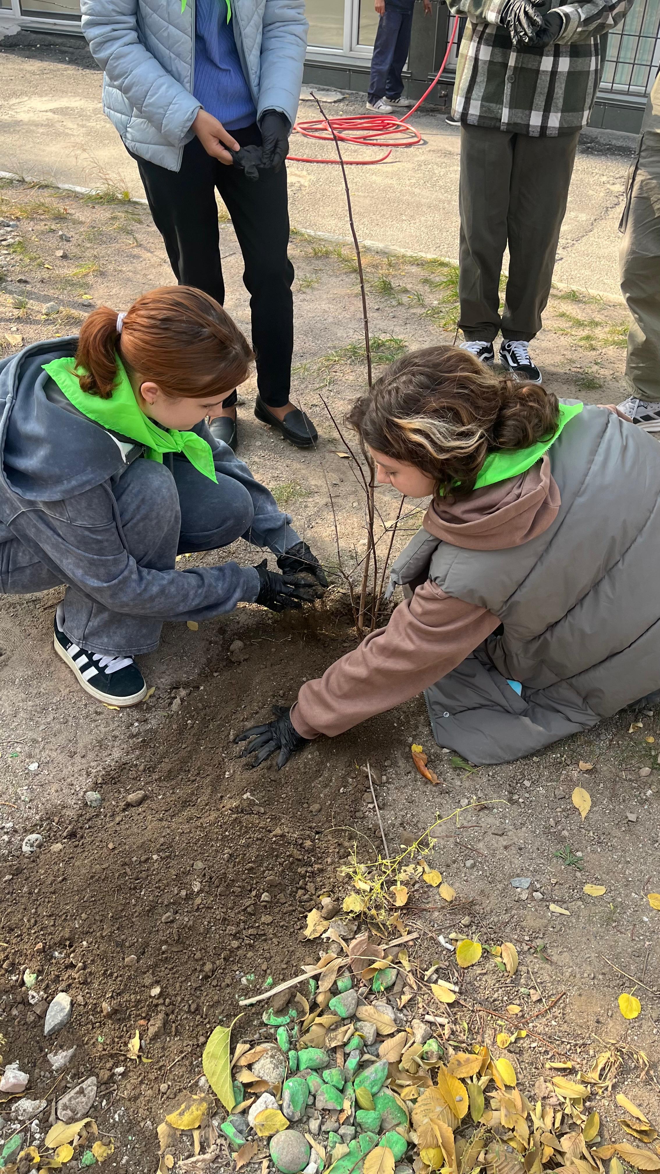 35 жылдыққа — 35 жасыл тал 🌿 / 35 растений к 35-летию Дня Республики