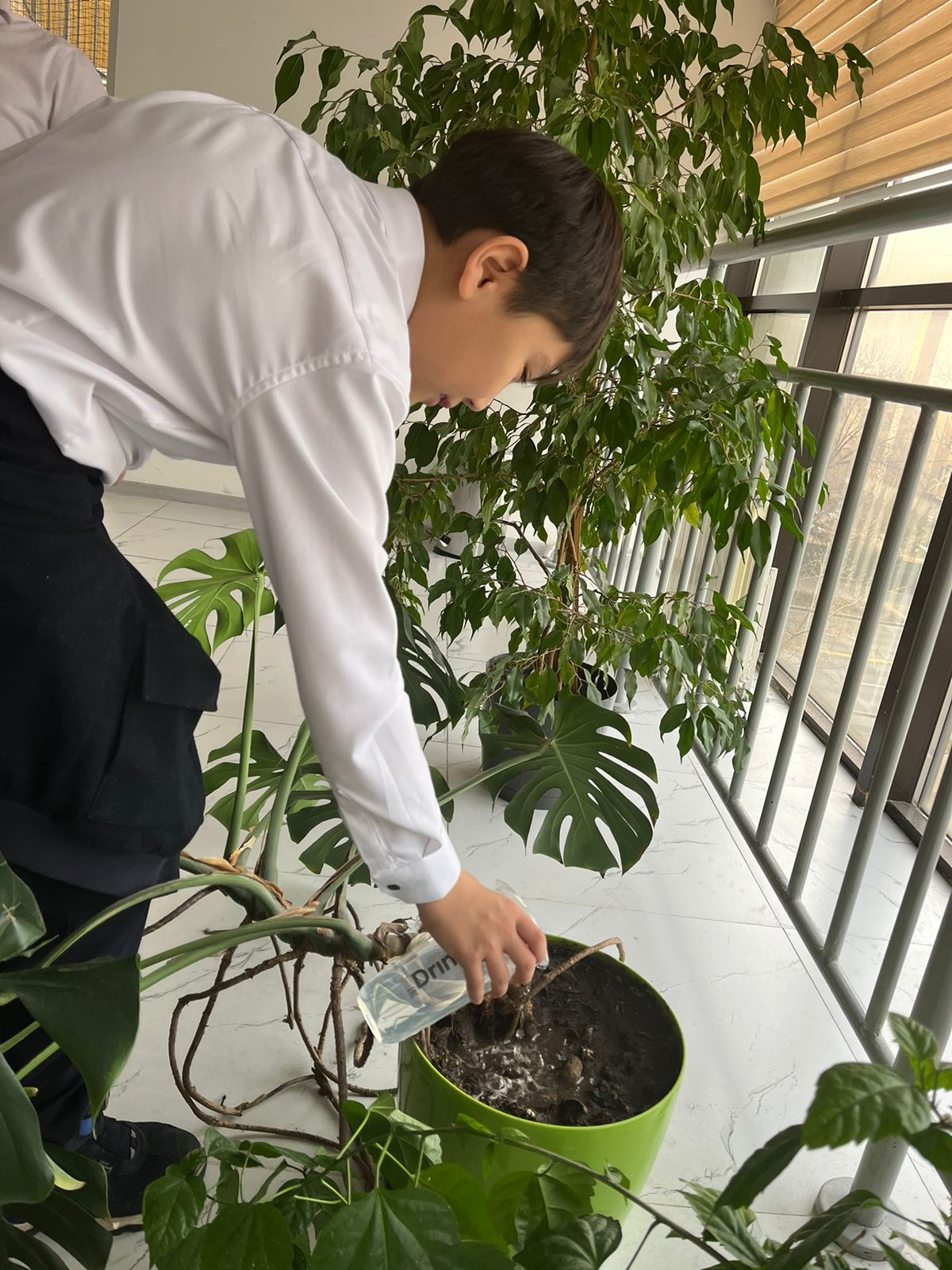 «Алматы – таза қала»